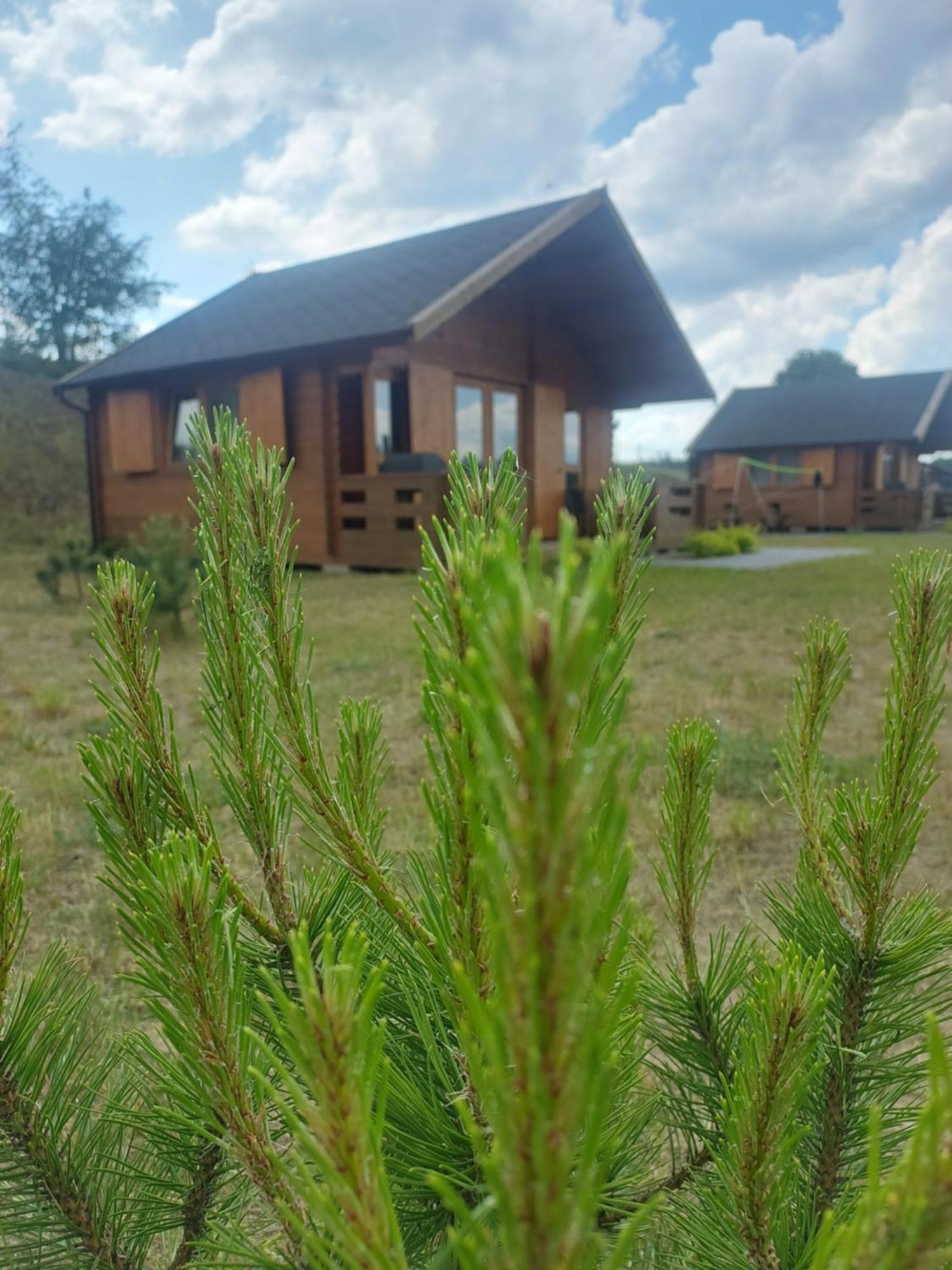 Kaszubskie Laki Domek Nr 4 Lakie Экстерьер фото